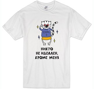 Футболка Никто не идеален, кроме меня