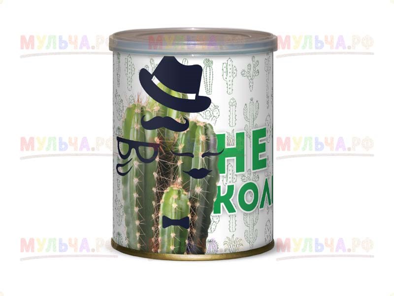 Набор для выращивания Не будь колючкой