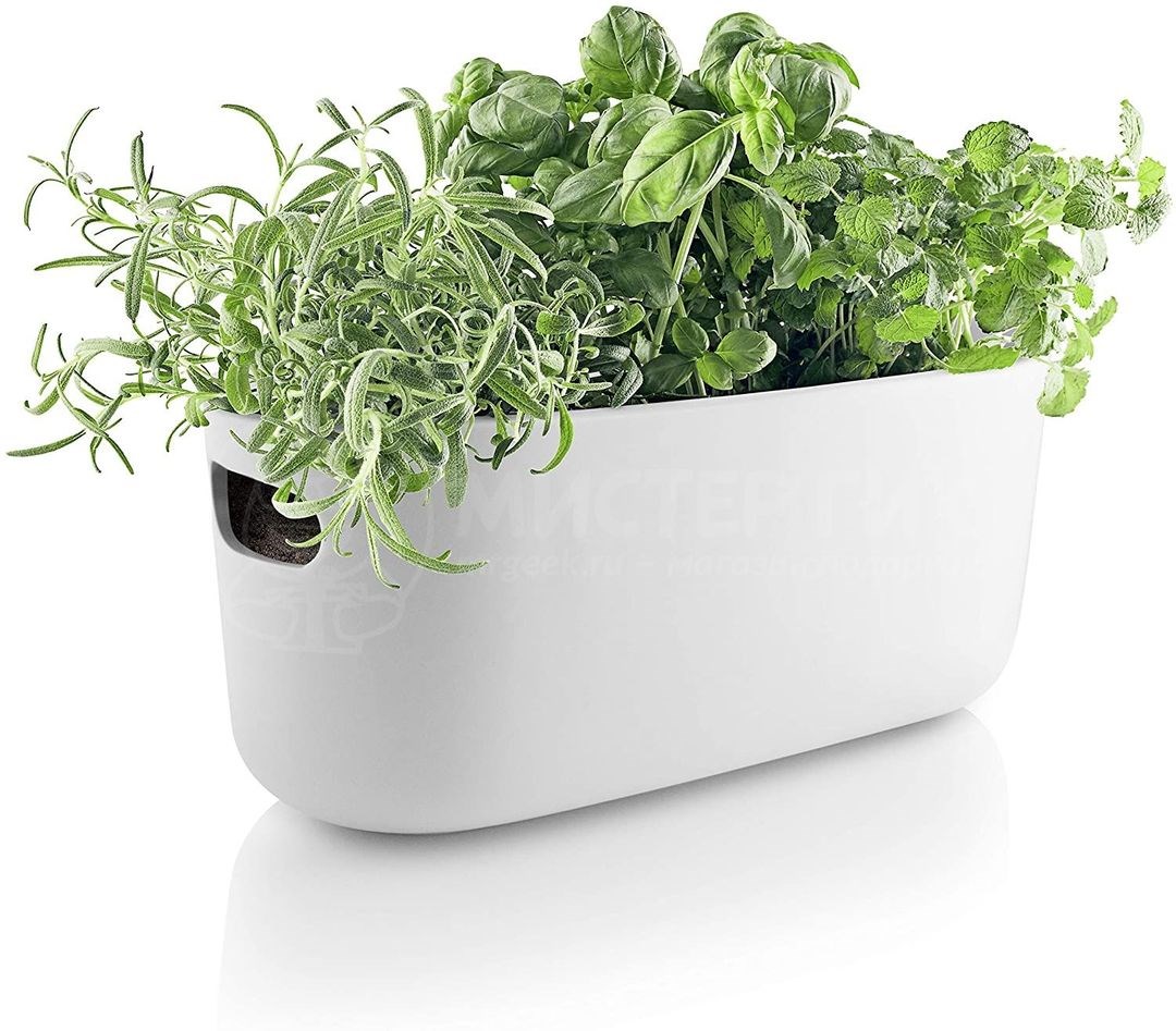 Кашпо с функцией самополива Self-watering Herb Organizer