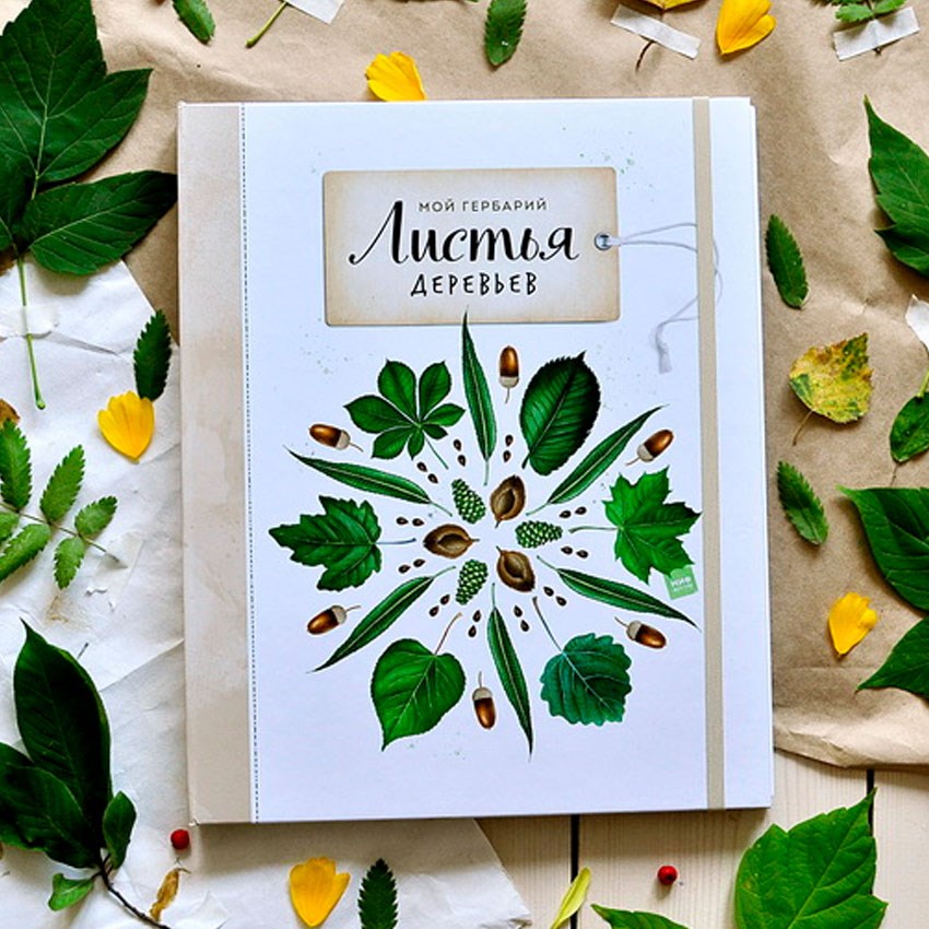 Книга-гербарий «Мой гербарий. Листья деревьев