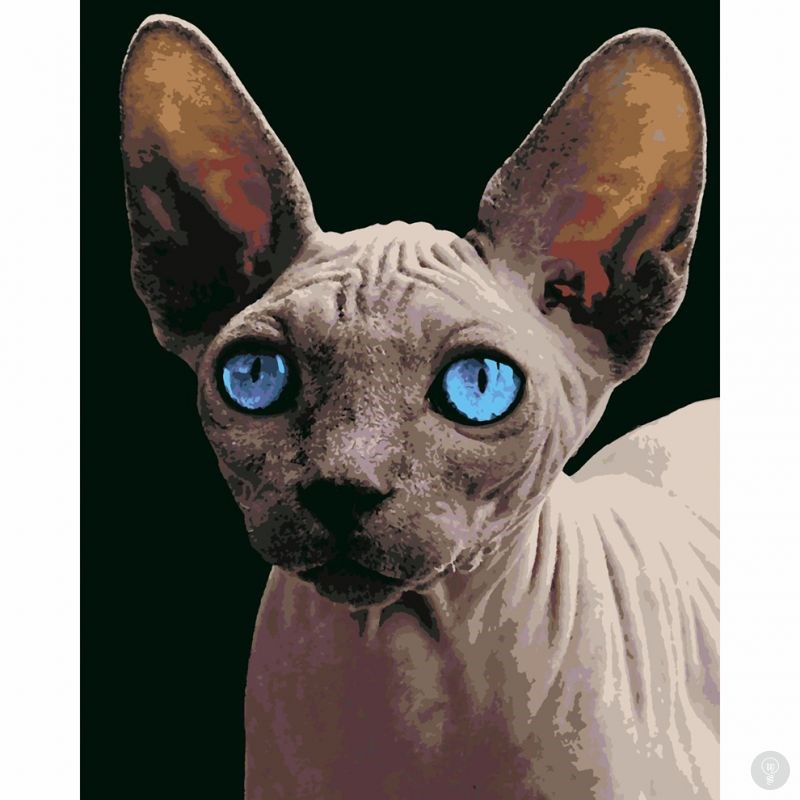 Картина по номерам Сфинкс с голубыми глазами | Картины по номерам