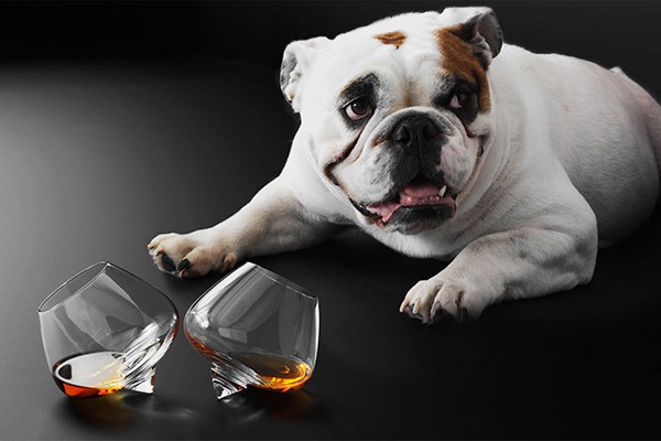Бокалы Liqueur Glasses 2 шт