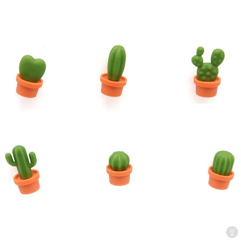 Магниты Cactus