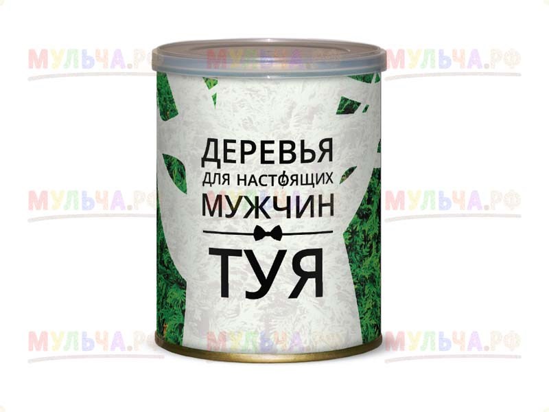 Набор для выращивания Деревья для настоящих мужчин, туя