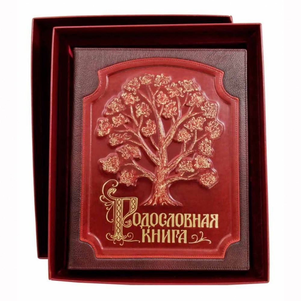 Родословная книга с росписью в футляре