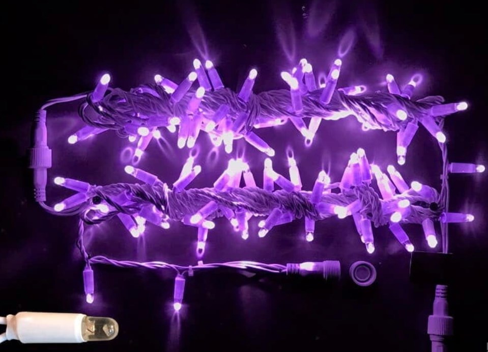 Гирлянда Rich Led RL-S10C-24V-T/V