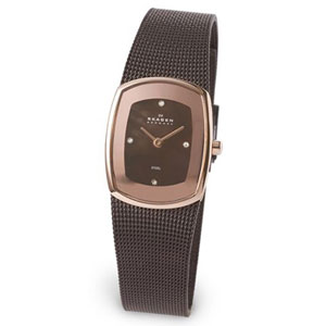 Женские наручные часы Skagen Steel
