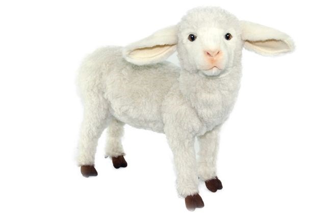 мягкая игрушка овечка,купить овечку,подарок овечка - Мягкие игрушки Sheepworld