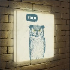 Лайтбокс Yolo