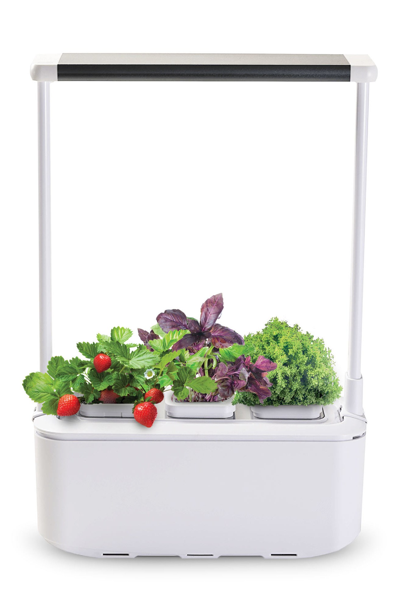 Компактный смарт-сад iGarden PRO с подсветкой
