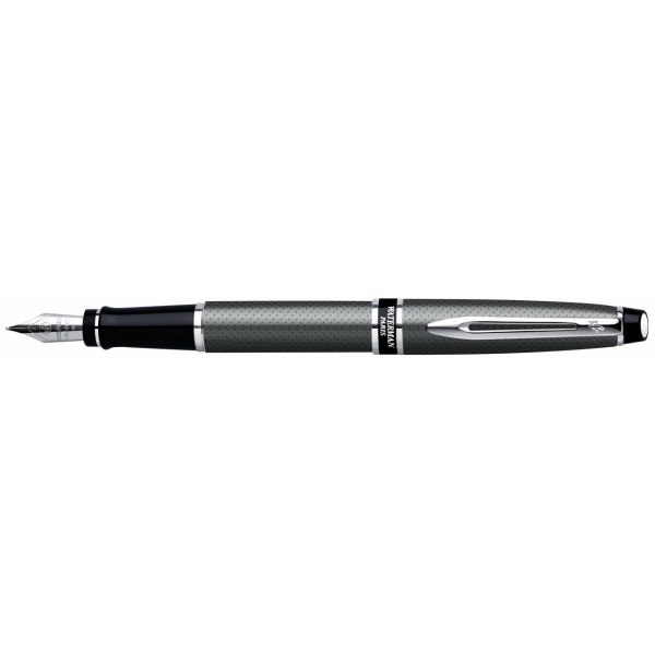 Перьевая ручка Waterman Expert City Line