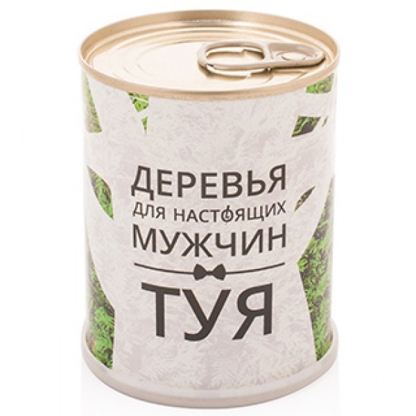 Набор для выращивания Туя - дерево для мужчин
