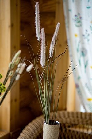 Искусственный букет из злаков СЕТАРИЯ - КОШАЧЬИ ХВОСТИКИ