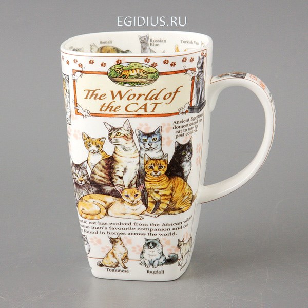 Кружка The world of the cat, 600 мл.