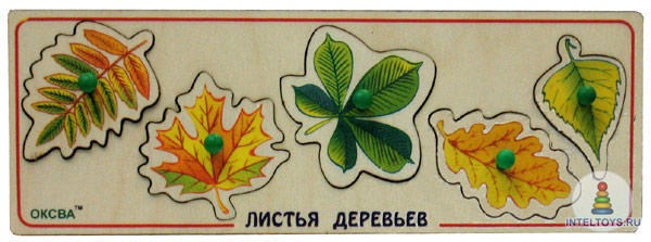Доска Сегена Листья деревьев