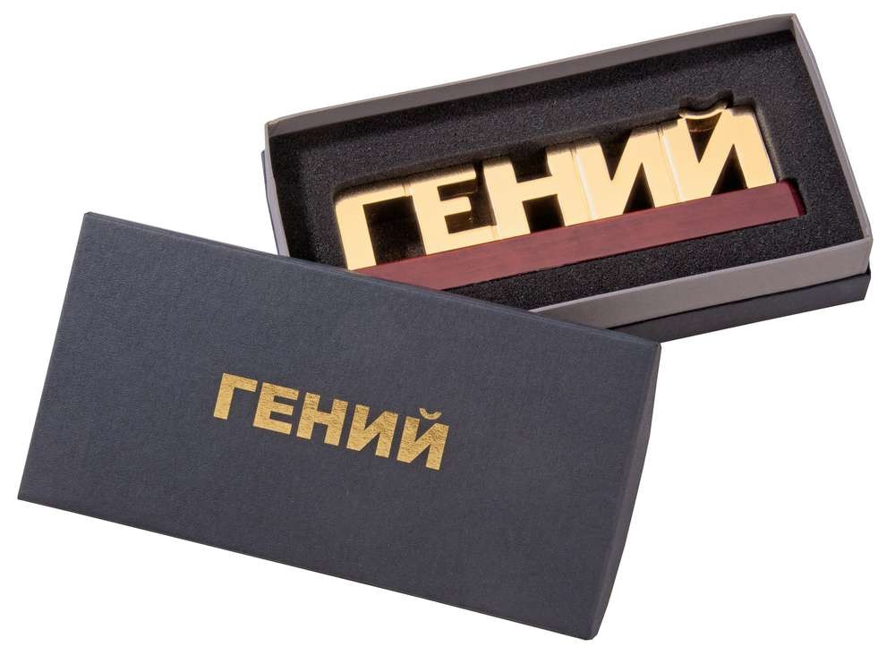 Пресс-папье Гений
