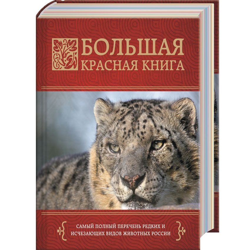 Где Можно Купить Красную Книгу России