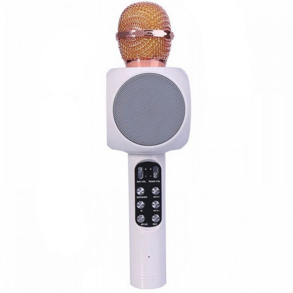 Колонка с функцией микрофона караоке WSTER WS-1816