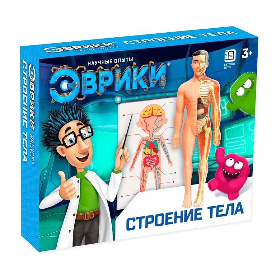 Опыт Строение человека