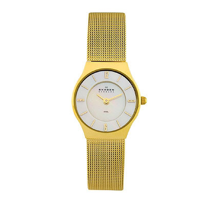 Женские наручные часы Skagen Steel