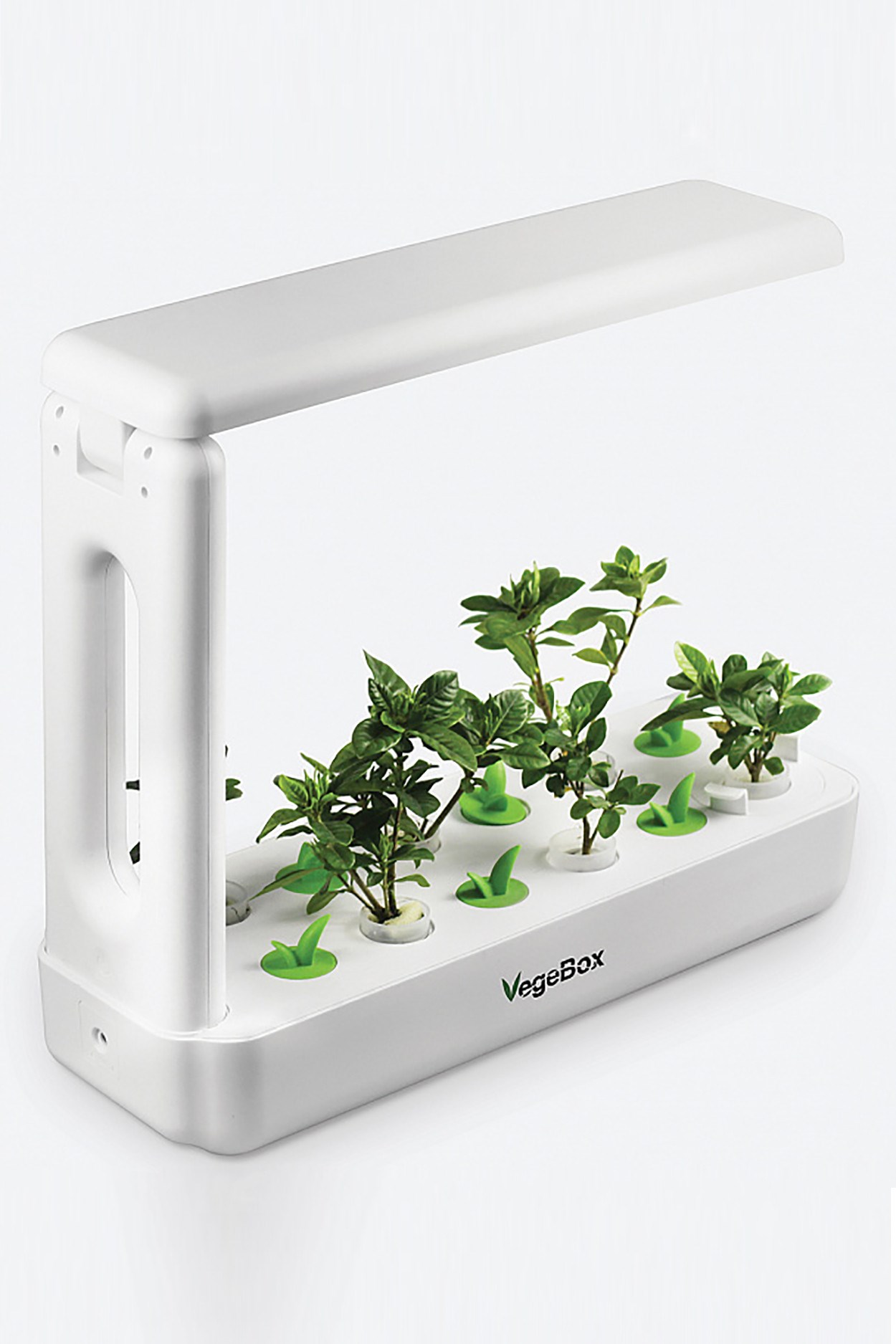Домашняя ферма VegeBox K-BOX