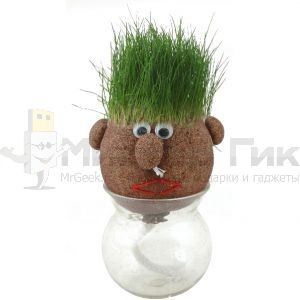 Травяная голова «Grass Head»