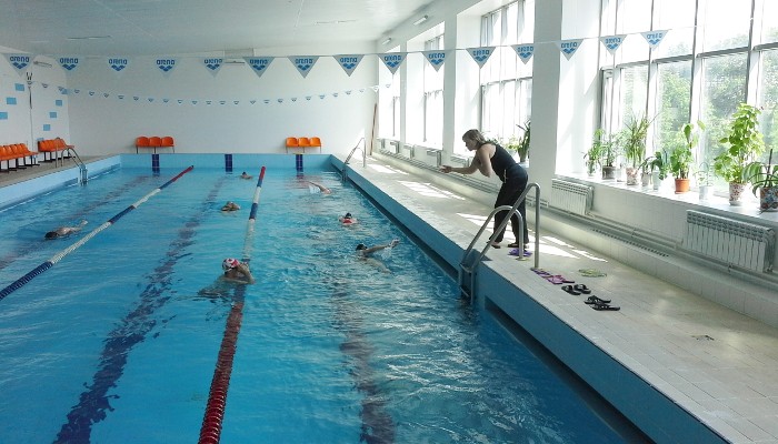 Занятия плаванием для взрослых в школе Start Swim