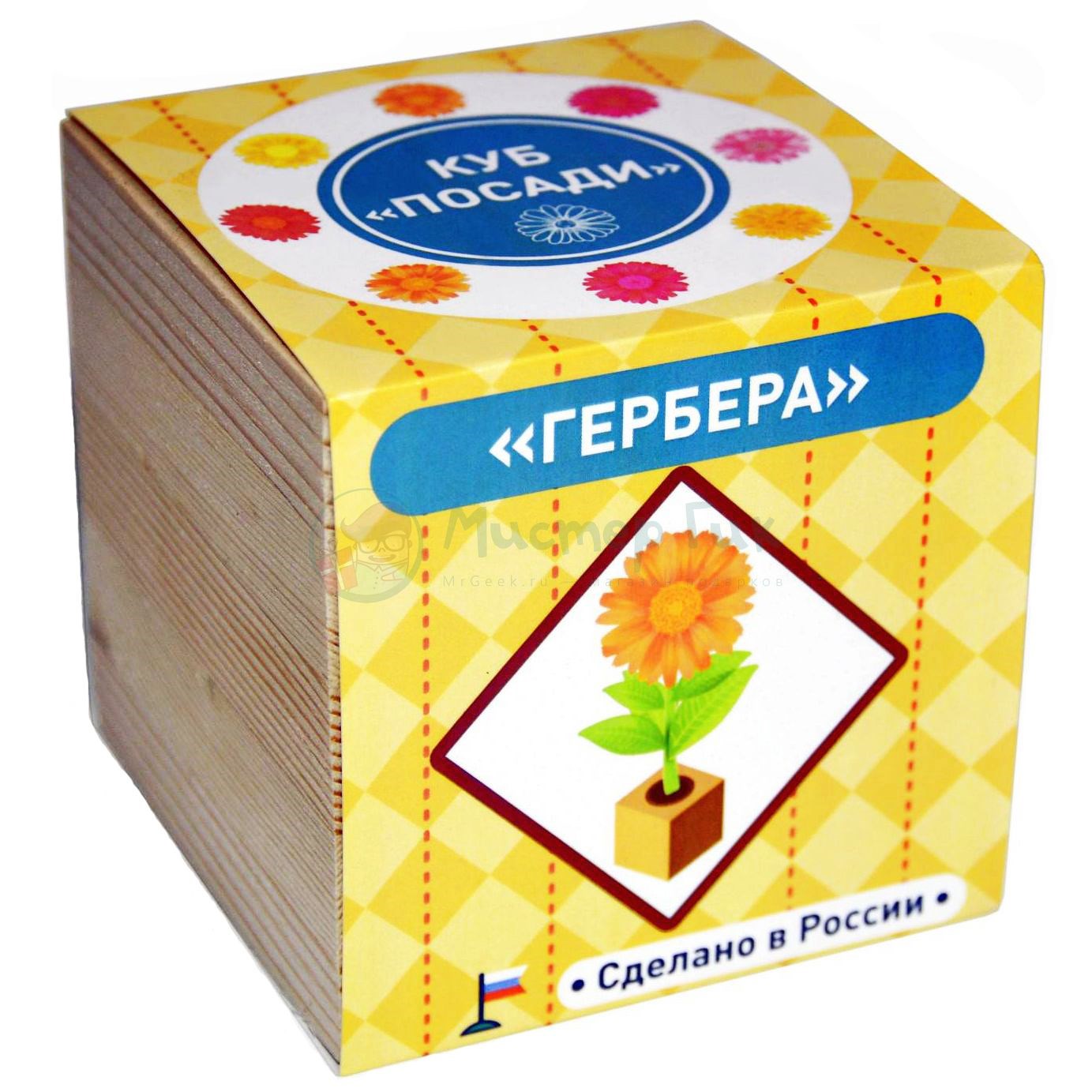 Набор для выращивания Гербера