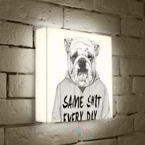 Лайтбокс Same shit every day