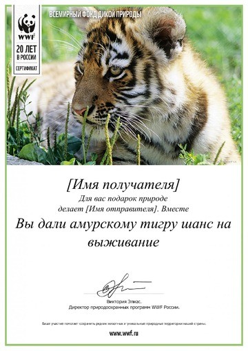 Именной электронный сертификат от WWF Амурский тигр