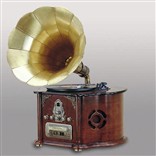 Граммофон (пластинка,радио,CD)