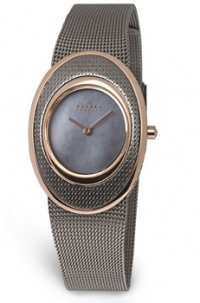 наручные часы Skagen Steel