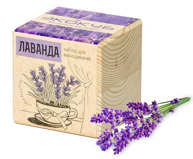 Набор для выращивания Лаванда