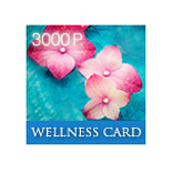 Подарочный сертификат WELLNESS CARD