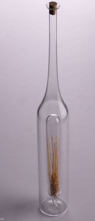 Бутылка Пшеница