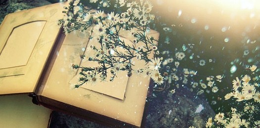 Подарочный сертификат Книга приключений