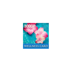 Подарочный сертификат WELLNESS CARD