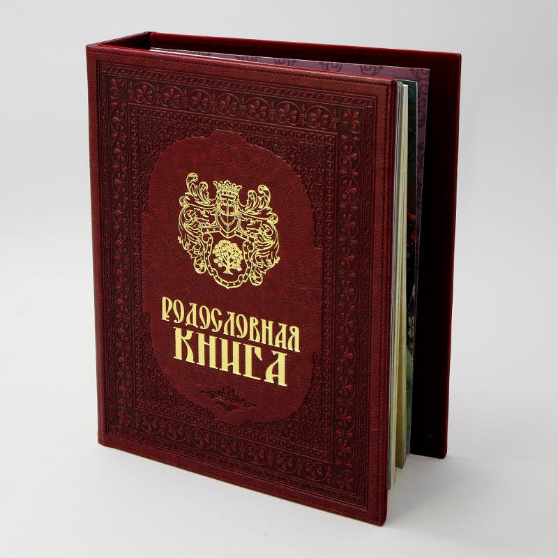 Семейная родословная книга Художественная