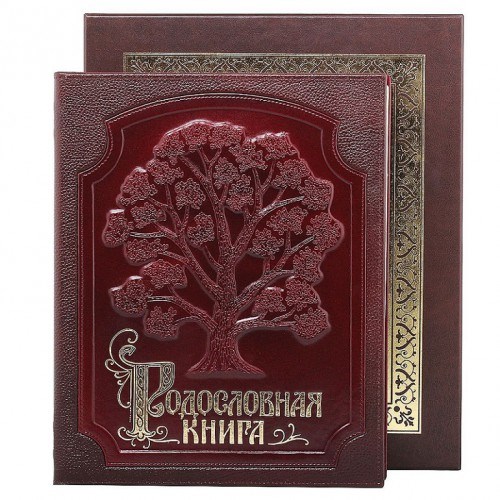 Родословная книга Изысканная в футляре с тиснением