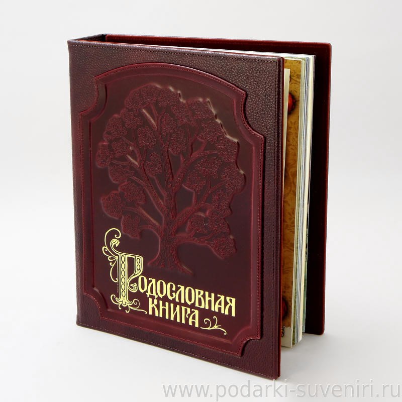 Родословная книга в кожаной обложке Изысканная