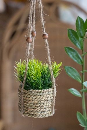 Искусственное растение COZY GREENS в кашпо, 8х12 см