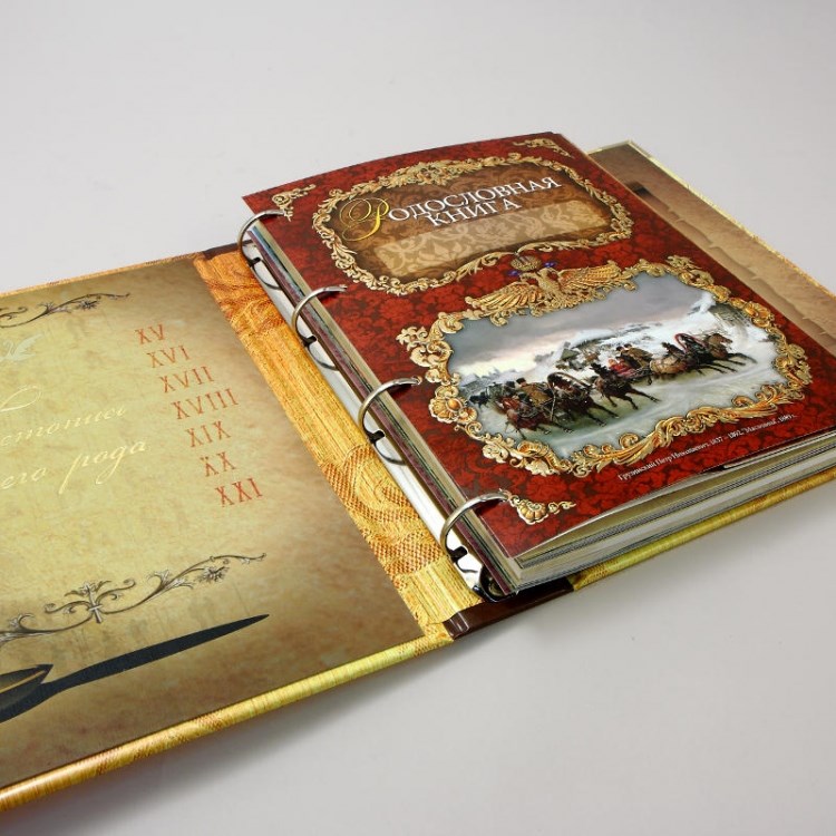 Родословная книга Летописец в ламинированной обложке
