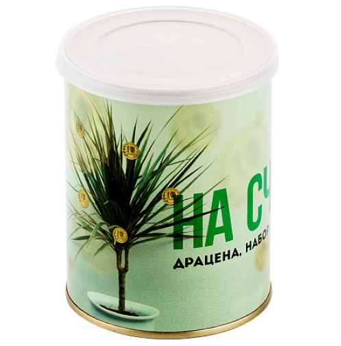 Набор в банке для выращивания На счастье