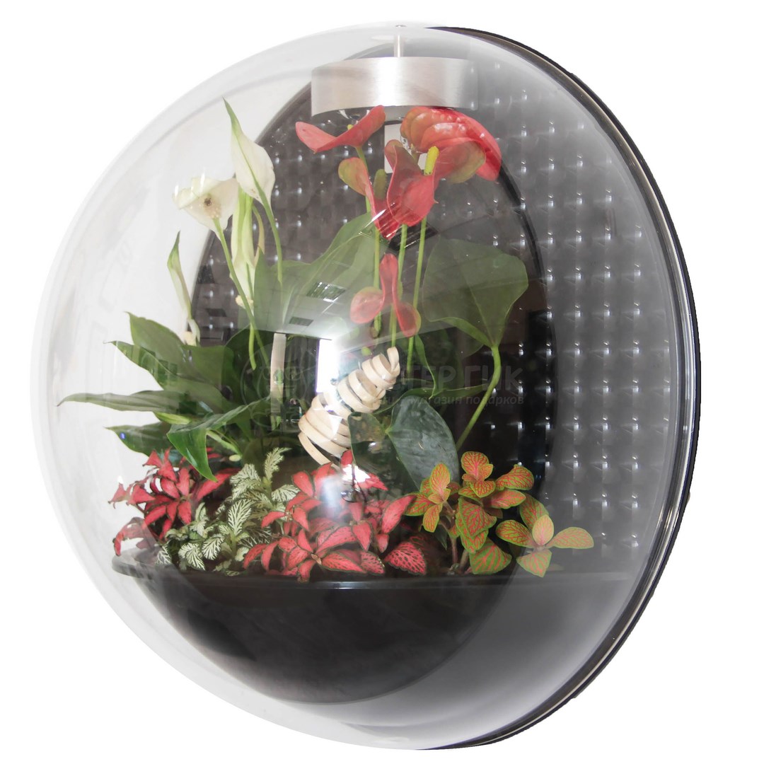 Настенный флорариум Flandriss Miniball Black 3D