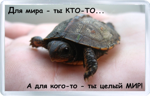 Магнитный подарок: Ты не просто кто-то