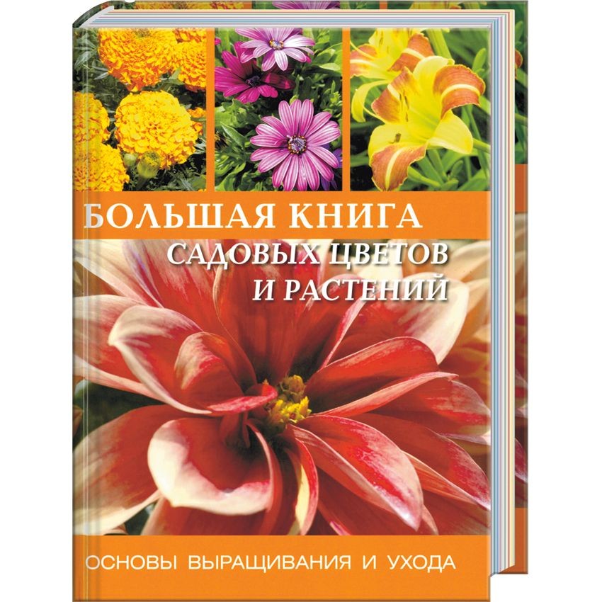Книга Большая книга садовых цветов и растений
