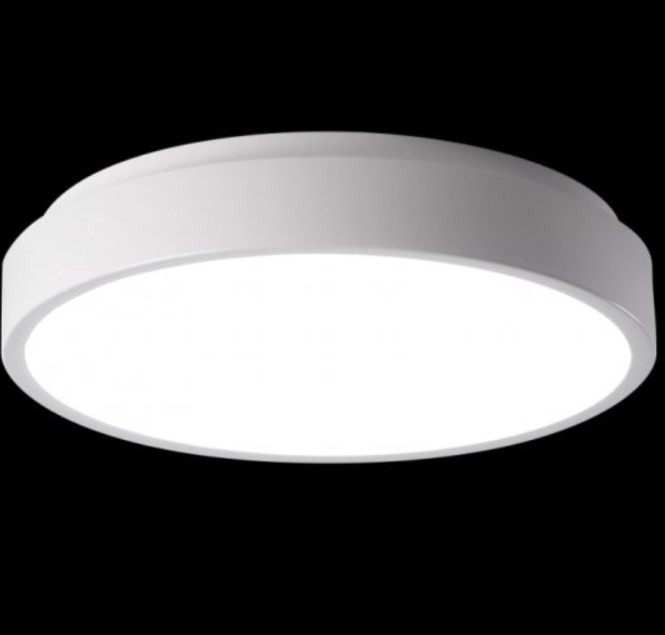 Светильник Jazzway PPB Sсandic-R 24w