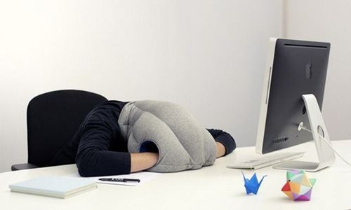 Подушка Страус Ostrich Pillow