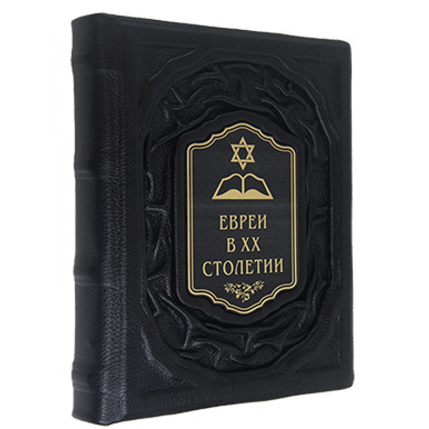 Книга Евреи в двадцатом столетии: иллюстрированная история
