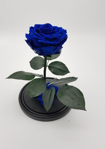 Роза в колбе премиум хит Темно синяя 27*15*11см | купить в Подарки.ру